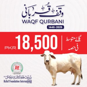 Donate Your Qurbani for Needy | Cow B