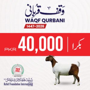 Donate Your Qurbani for Needy | Goat B
