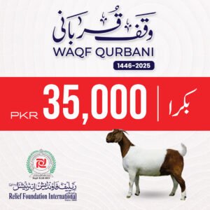 Donate Your Qurbani for Needy | Goat B