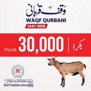 Donate Your Qurbani for Needy | Goat C
