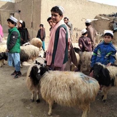 WhatsApp-Image-2022-01-27-at-5.44.39-PM